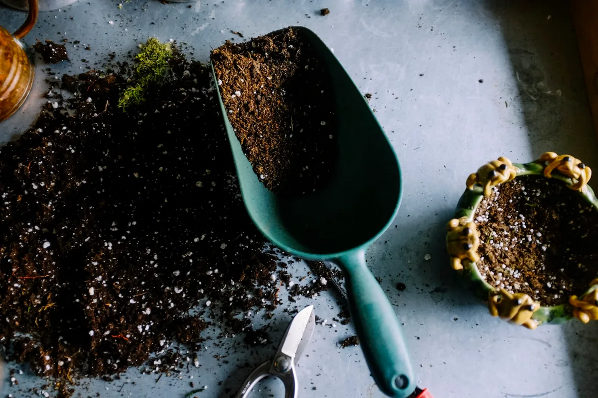 How to Find a Good Landscaper Near You